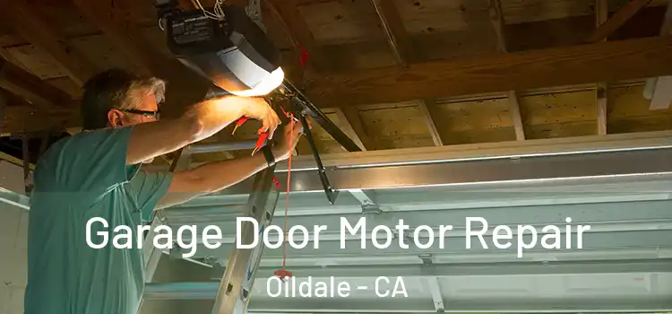  Garage Door Motor Repair Oildale - CA
