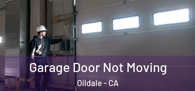  Garage Door Not Moving Oildale - CA