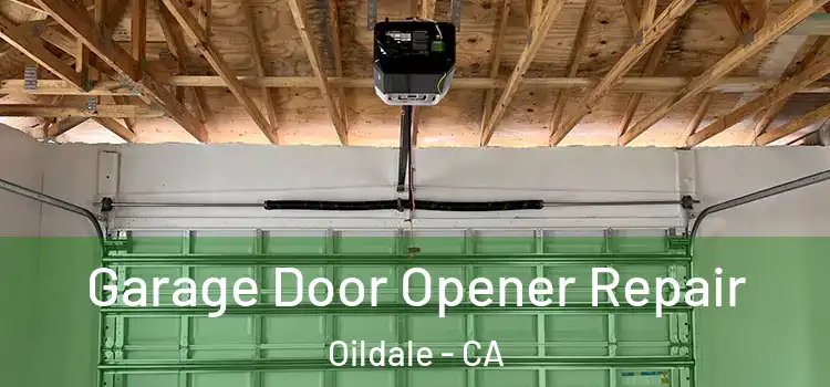  Garage Door Opener Repair Oildale - CA