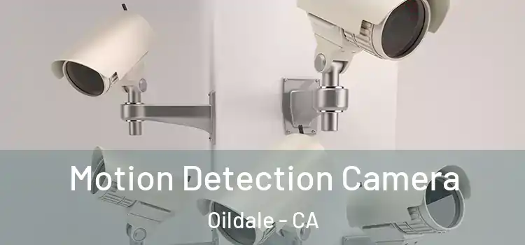  Motion Detection Camera Oildale - CA