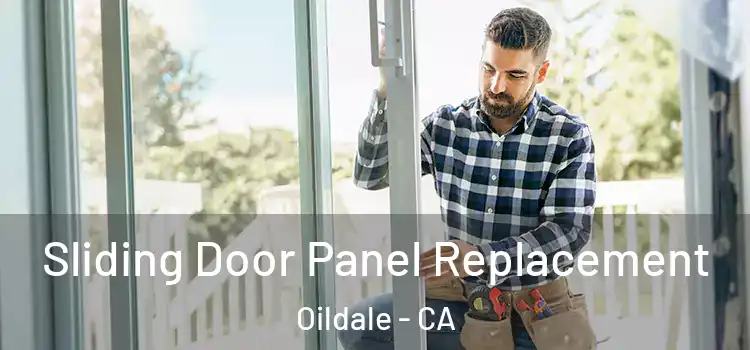  Sliding Door Panel Replacement Oildale - CA